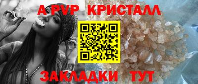 apvp Кингисепп