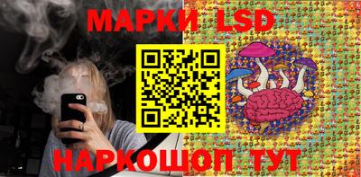 apvp Кингисепп