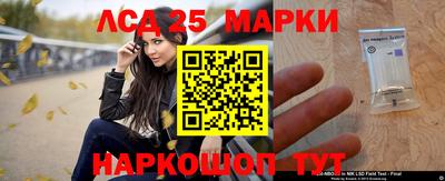 спиды Кимры
