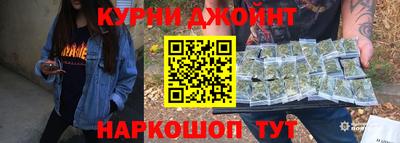 apvp Кингисепп